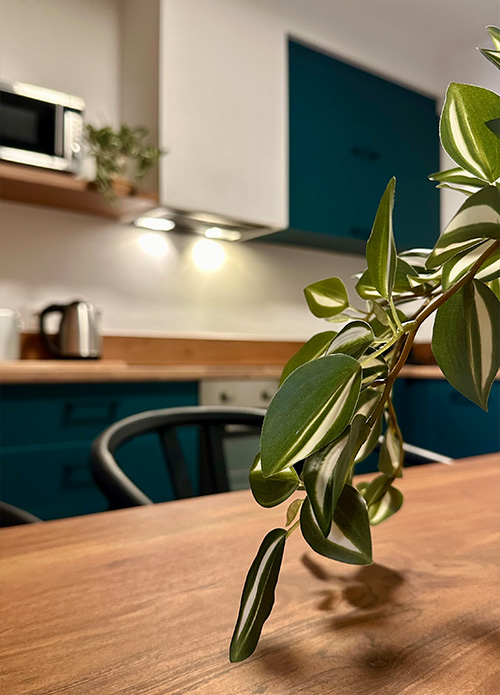 Mετατροπή Διαμερίσματος σε Airbnb